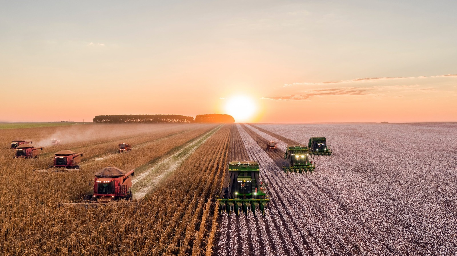 Tecnologia biológica aplicada no campo